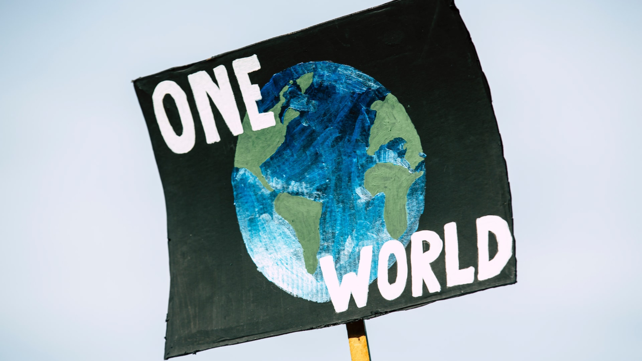 COP27, UN's annual climate summit. What measures might the world leaders take to protect the environment