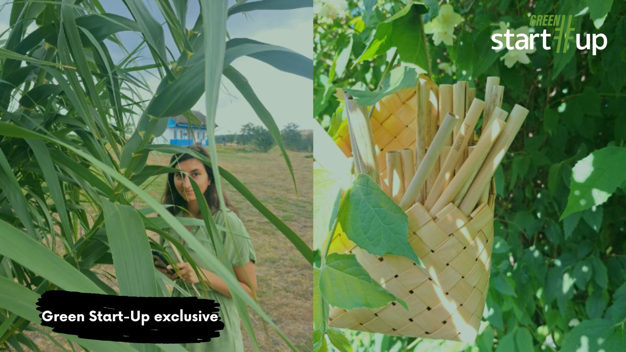 The Romanian business that uses reeds to replace plastic or paper straws
