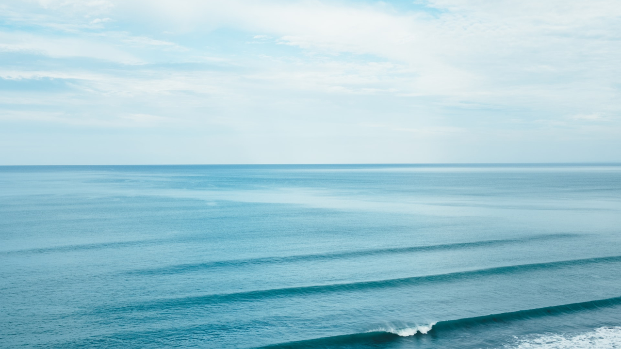 Experts say the world's oceans were the warmest in 2022