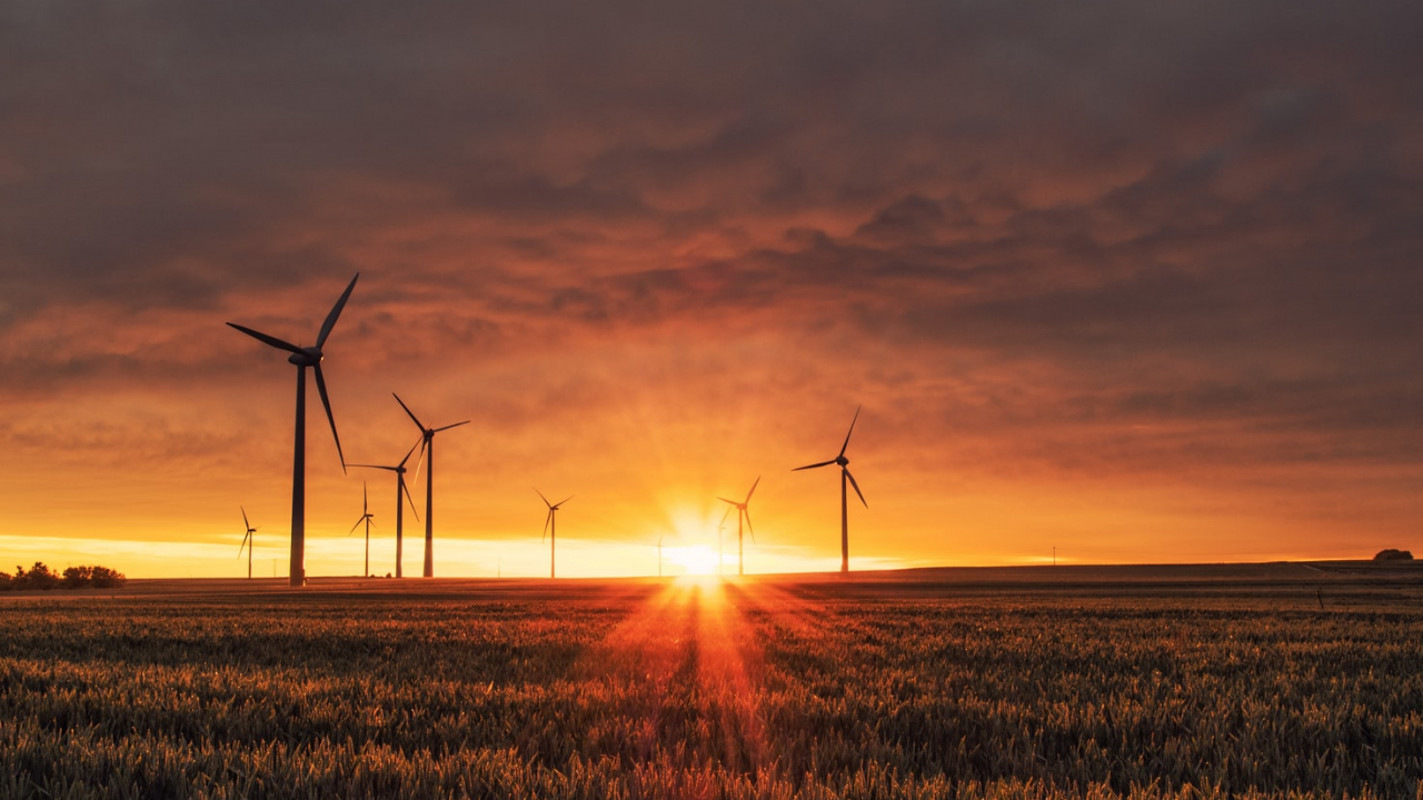 Finaliștii Black Sea ClimAccelerator: 12 soluții pentru criza climatică