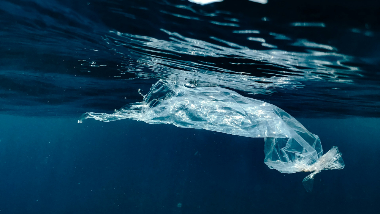 Tehnologie verde: senzori din plastic reciclat pentru apă curată și sigură