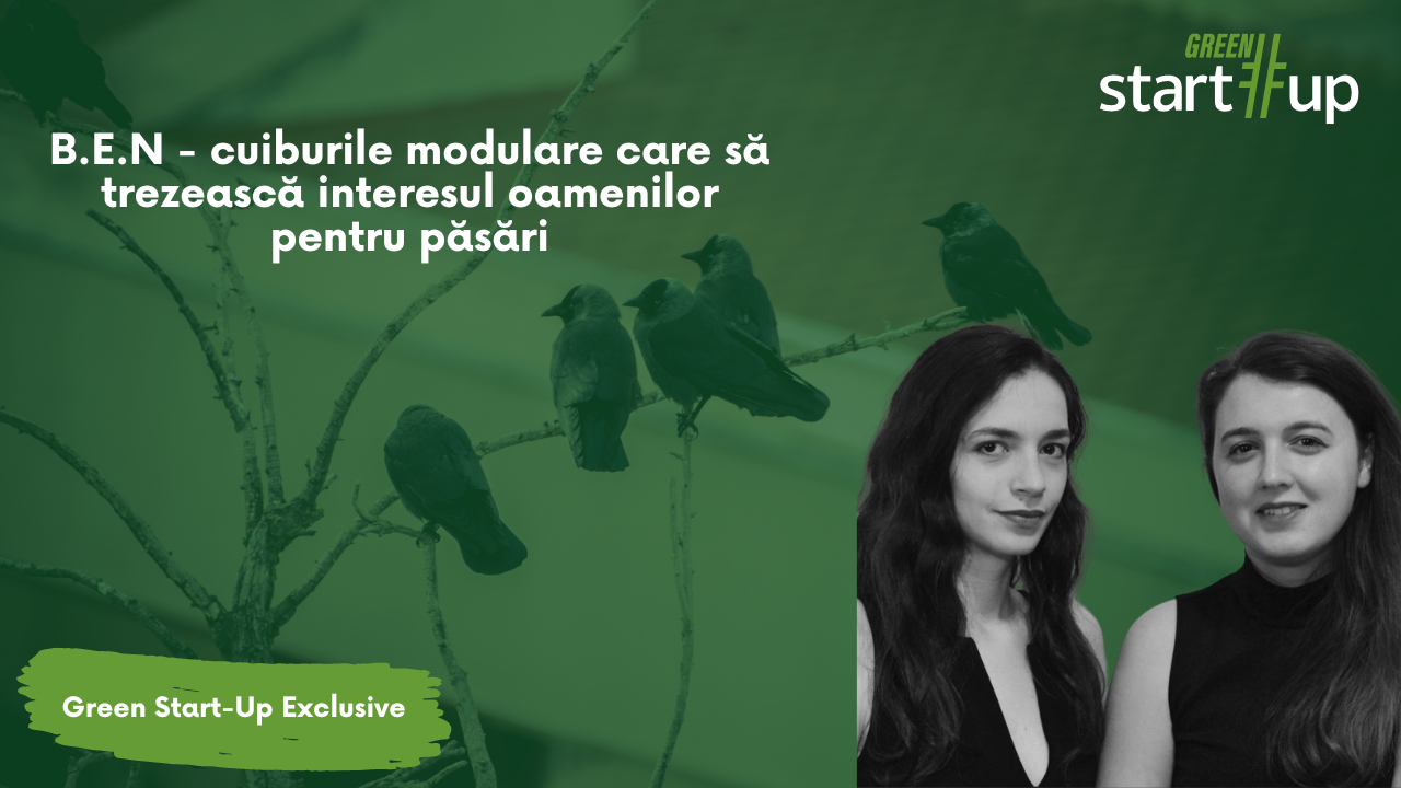 Arhitectele ce creează cuiburi modulare pentru a ne aduce mai aproape de păsări