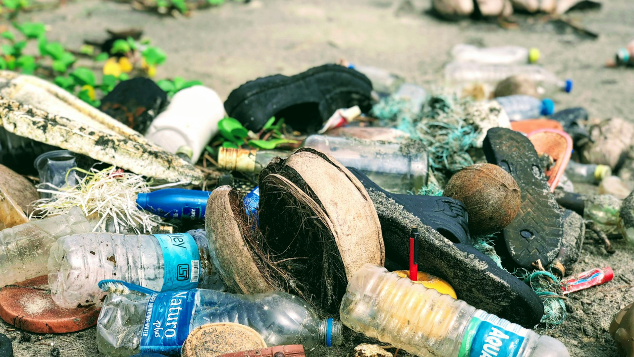 Environmental crimes could soon lead to 10 years imprisonment in the EU