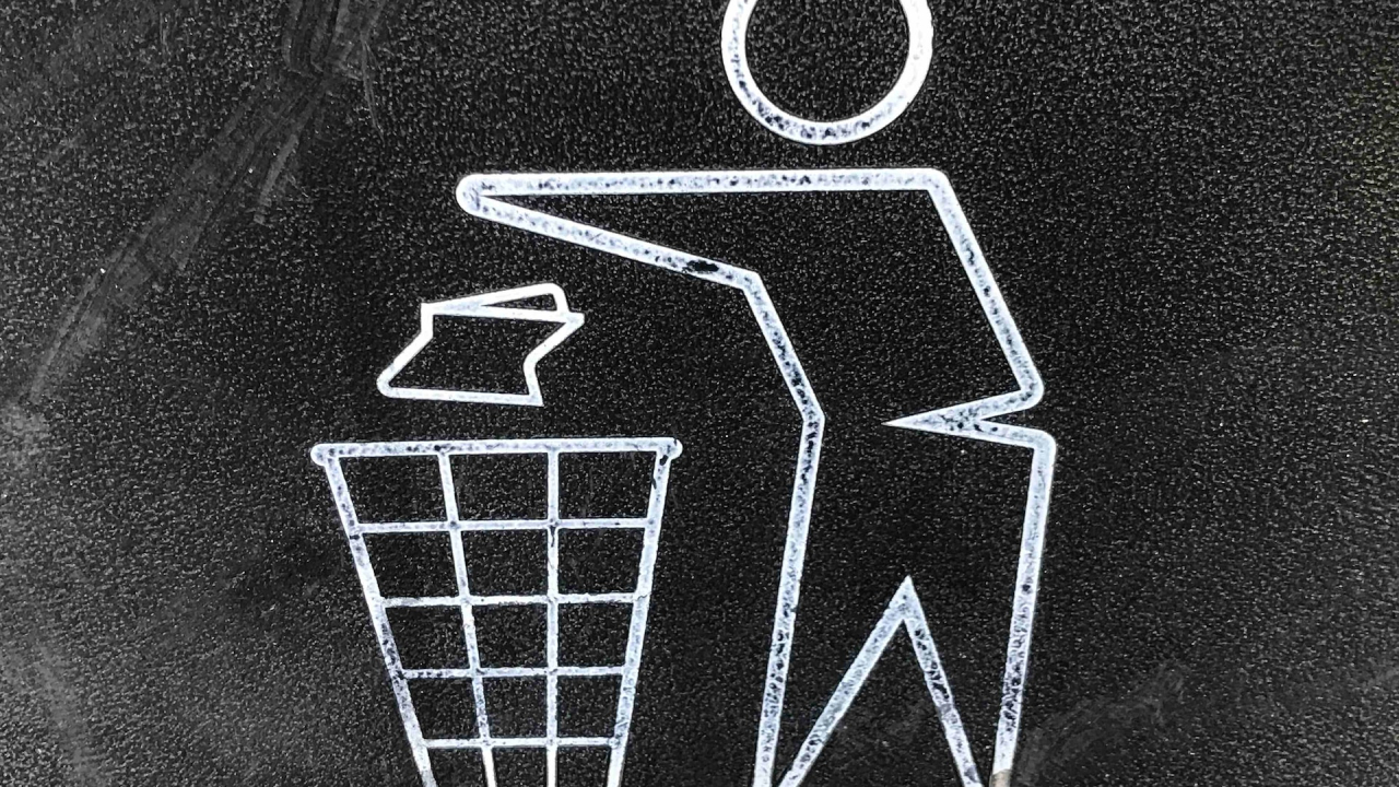 Încurajarea reciclării deșeurilor poate avea efecte negative, spun cercetătorii