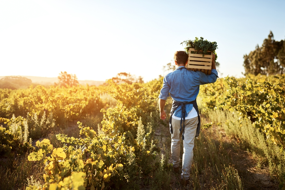Tranziția către o agricultură sustenabilă în Europa, finanțată cu $22 mil