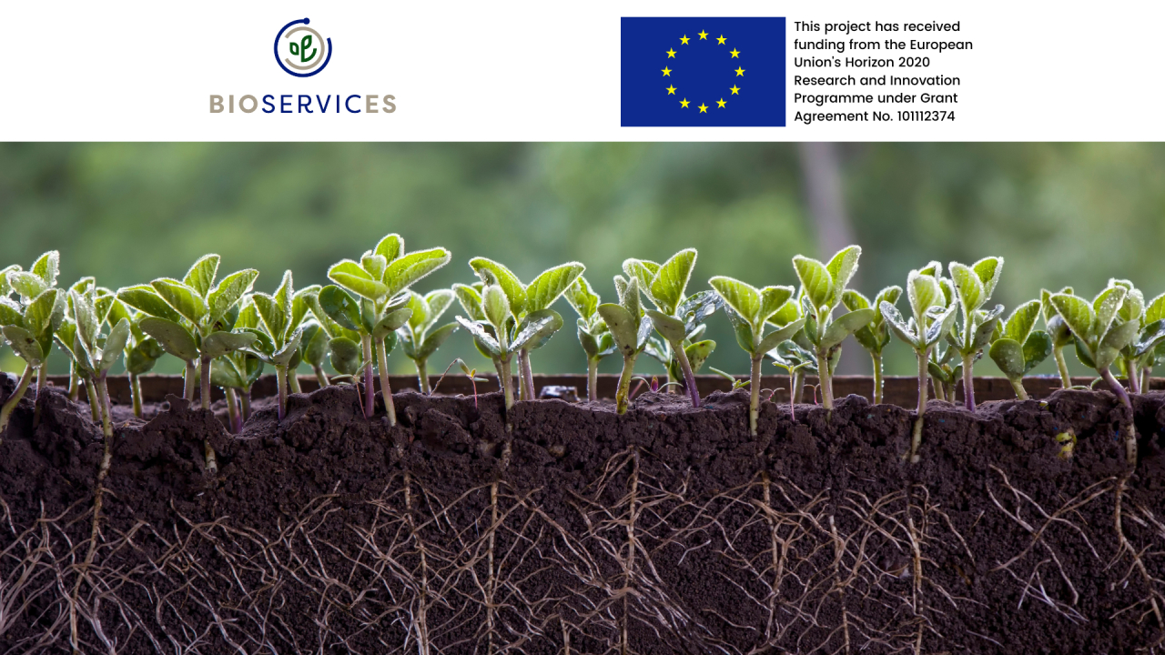 BIOservicES is the European project that aims to restore the soil's biodiversity