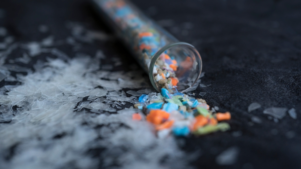 Cum pot florile și fructele să reducă efectele microplasticelor din corpul tău