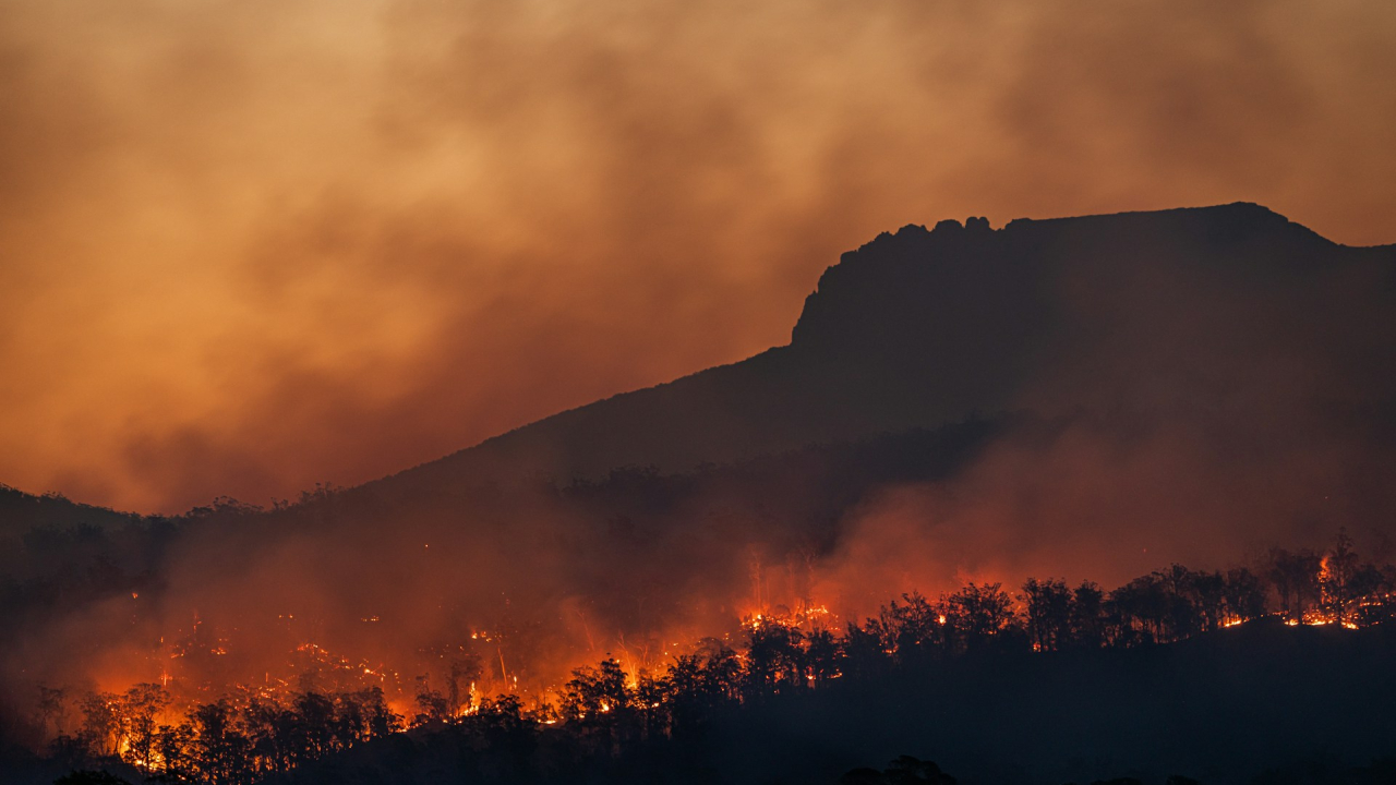 Cercetătorii au găsit soluția pentru incendiile tot mai frecvente din Europa