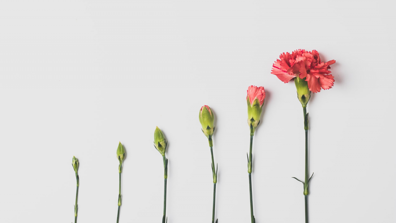 How to found your impact startup? What are investors looking for