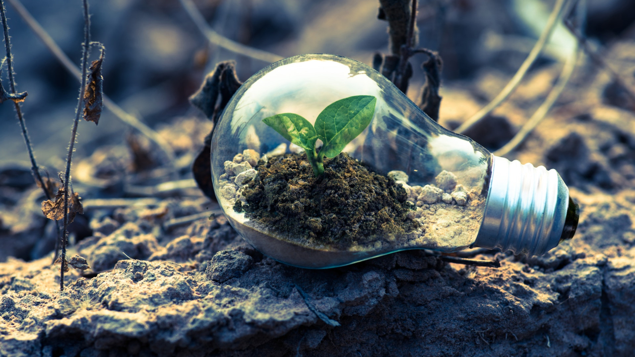 Tehnologie românească bazată pe AI și blockchain pentru facturi mai mici la energie
