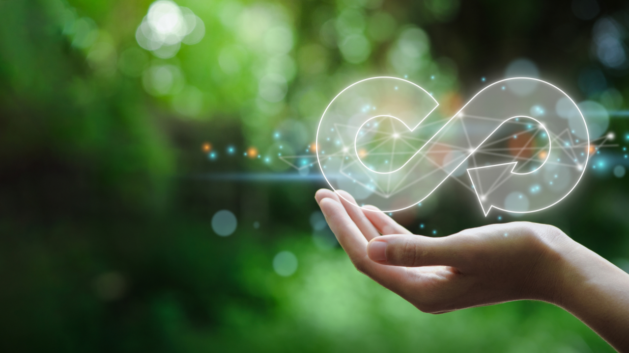 Economia circulară este singurul model de viitor pentru companii