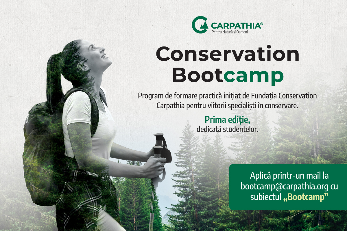 Fundația Conservation Carpathia lansează programul Conservation Bootcamp