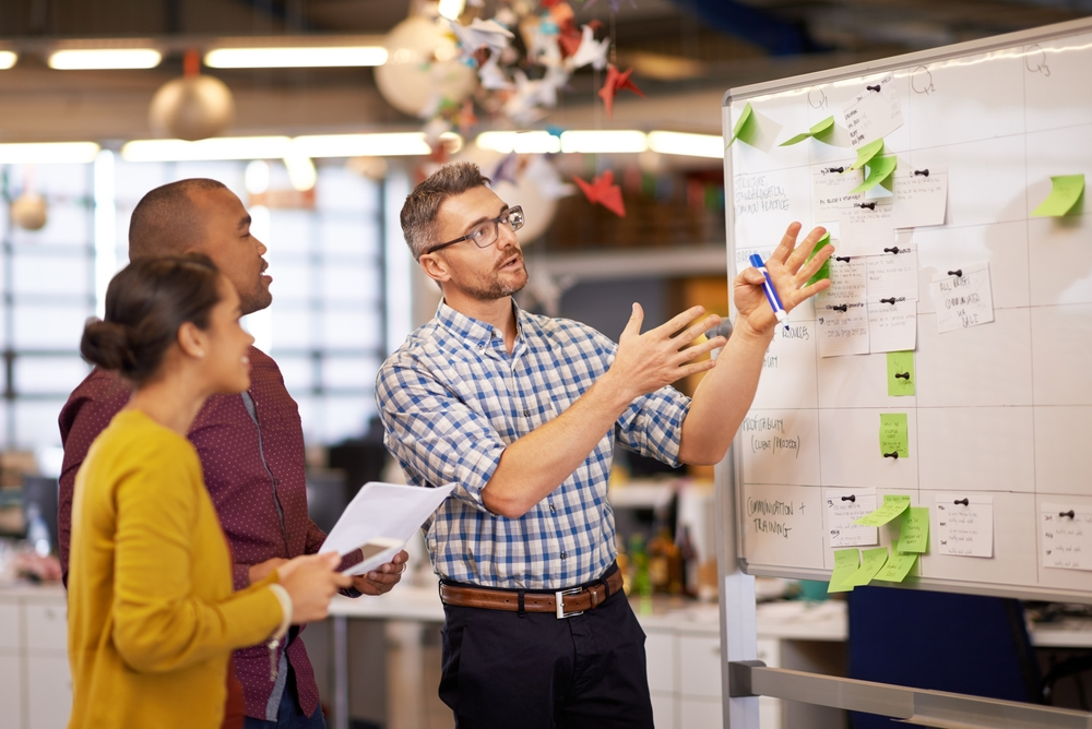 Study: sustainability, a higher priority for over 50% of the world's CEOs
