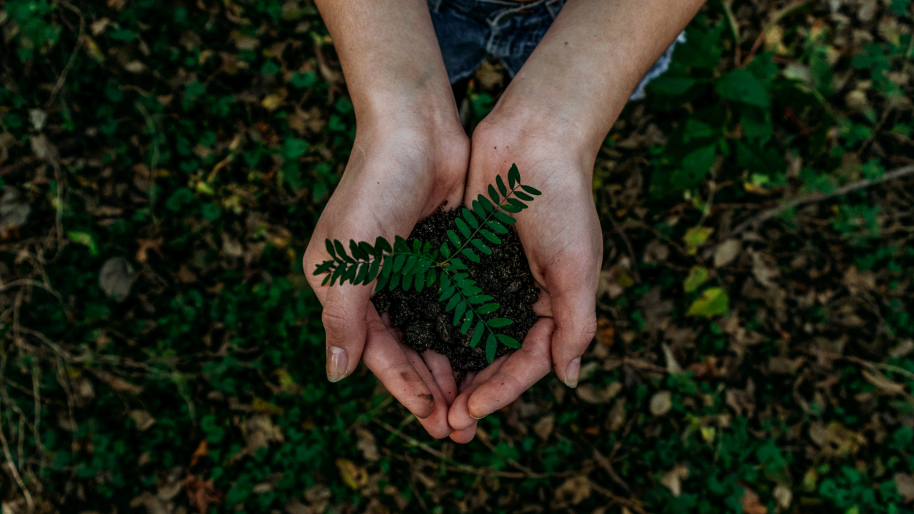 Climate investors: "clean tech companies are growing now"