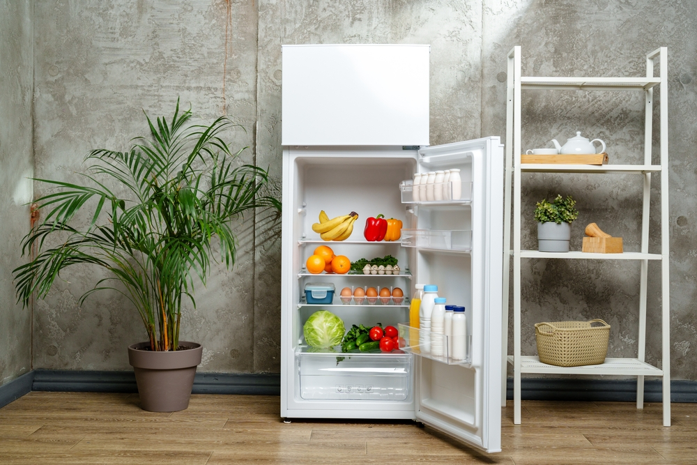 How it's recycled: refrigerators, the devices that shaped the future of cooking