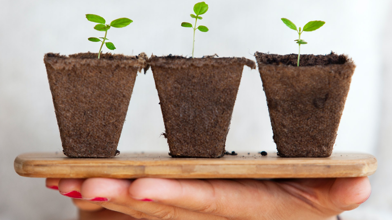 KPMG: an urgent need for global sustainability standards
