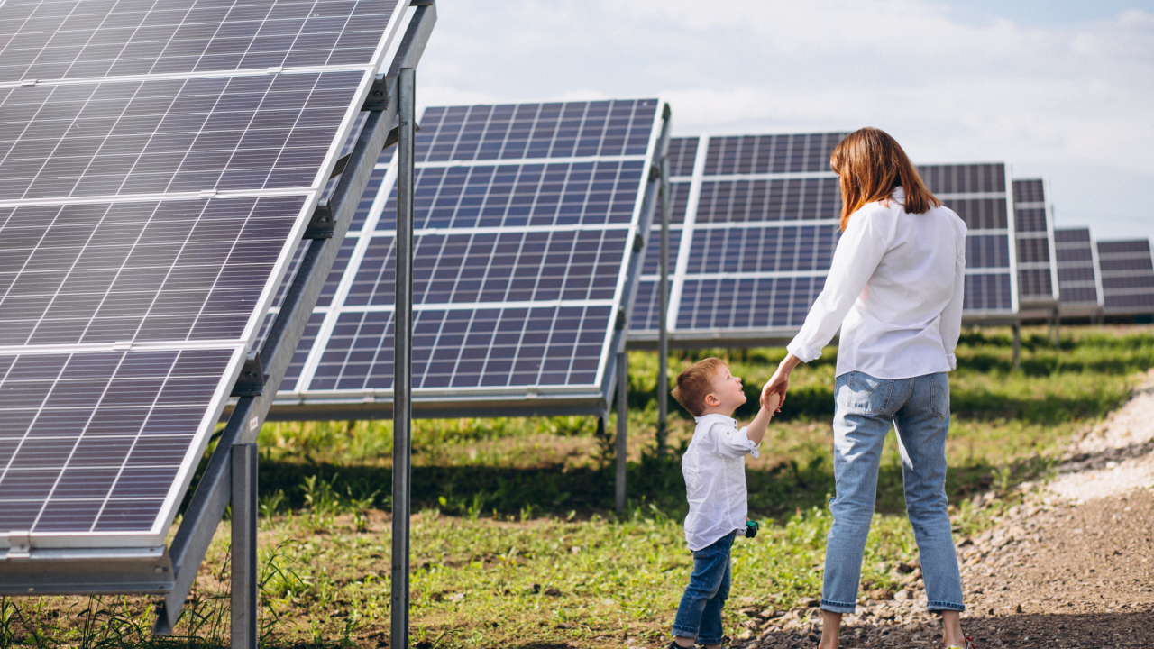 A Romanian winery goes green with 883 photovoltaic panels