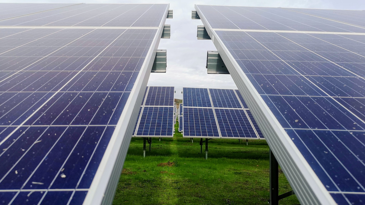 Investiție în Energoloop, startup care optimizează investițiile în parcuri fotovoltaice