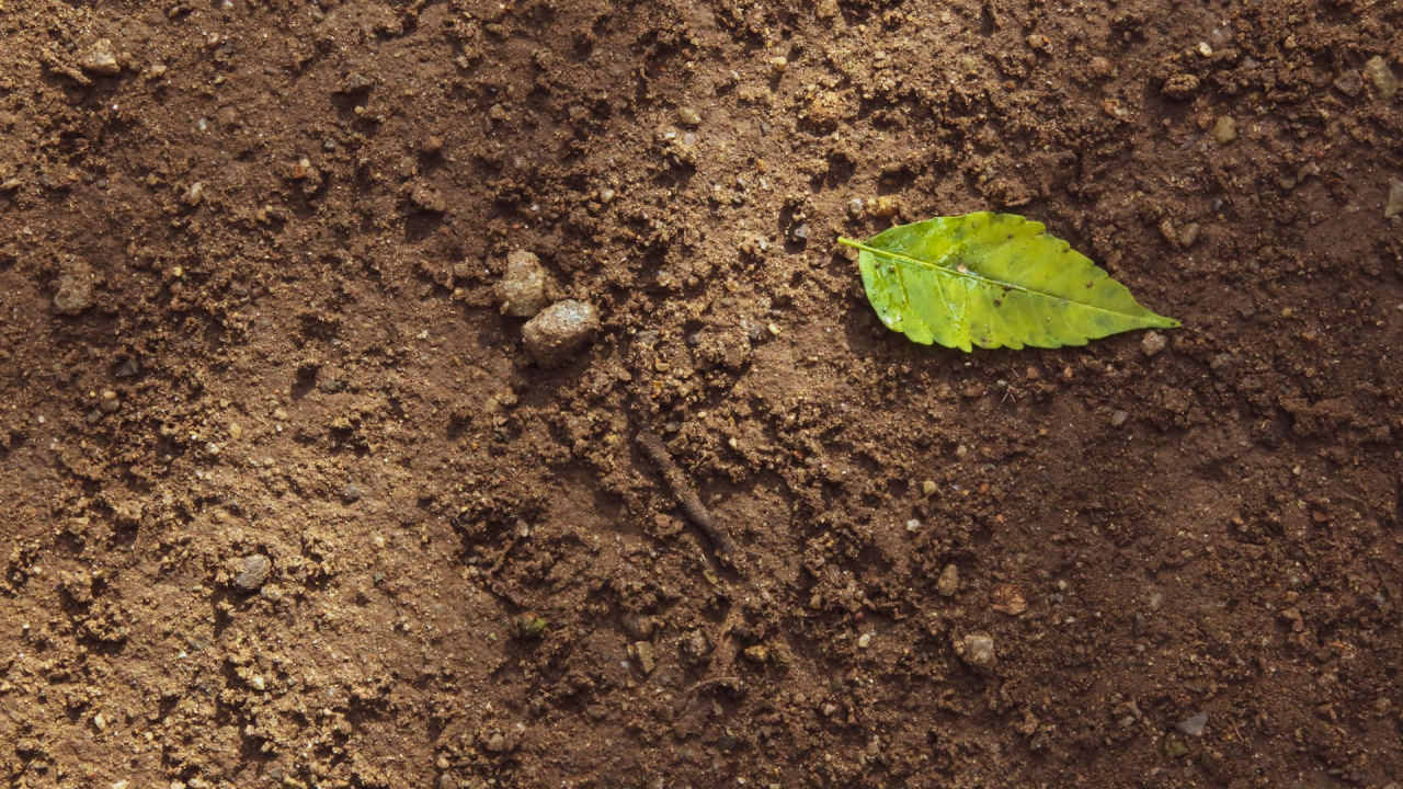 Researchers make soil-batteries that generate continuous power for 25 years