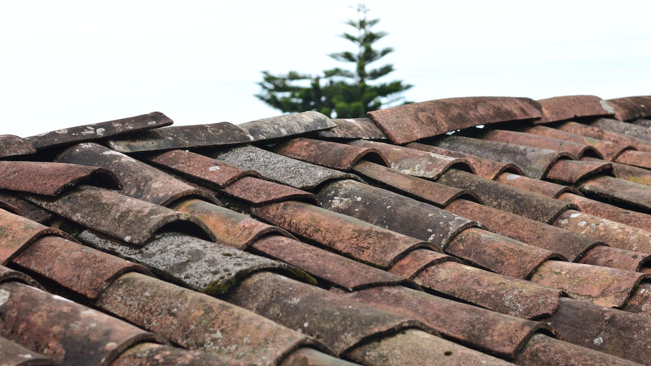 How mushrooms can help us recycle our old roofs