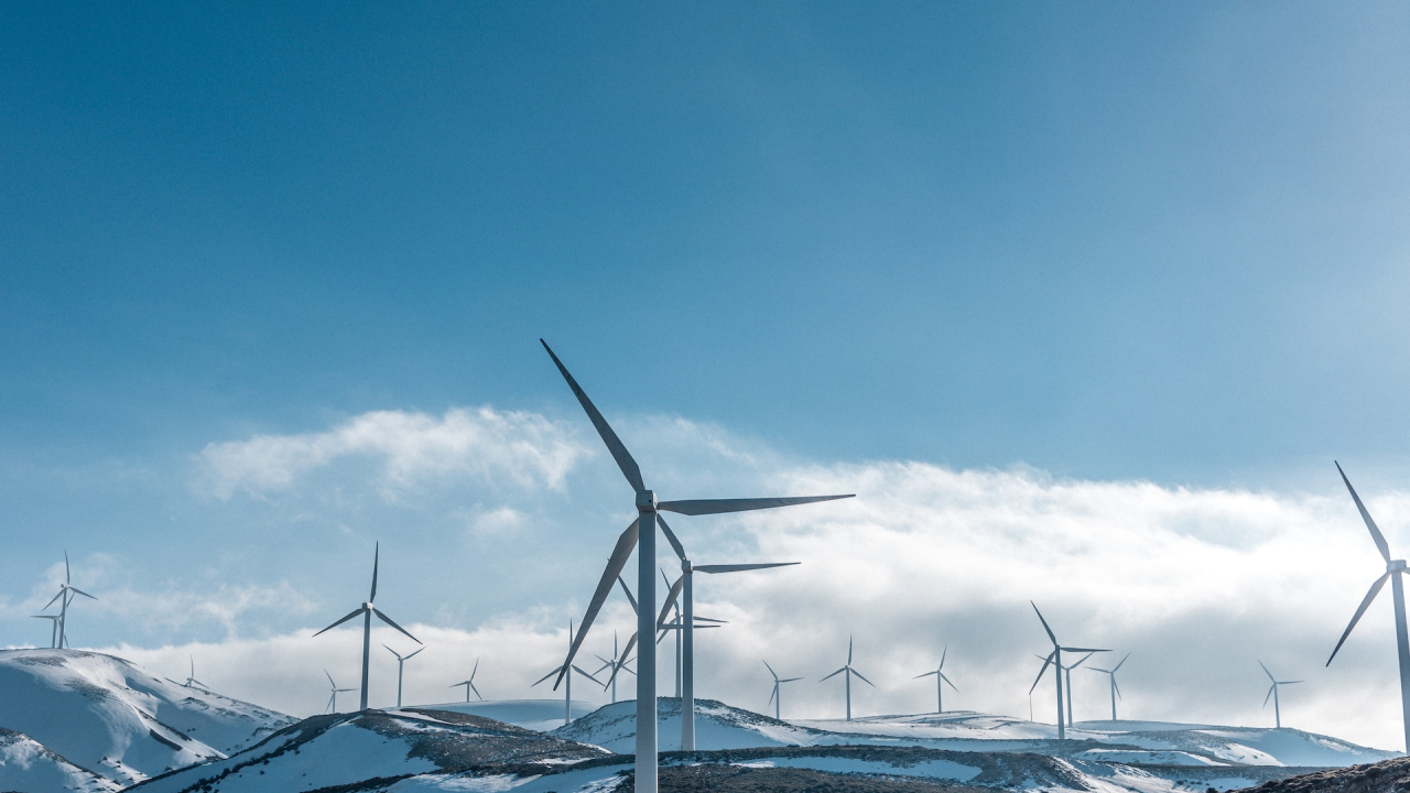 Amazon devine cel mai mare cumpărător de energie regenerabilă din Europa