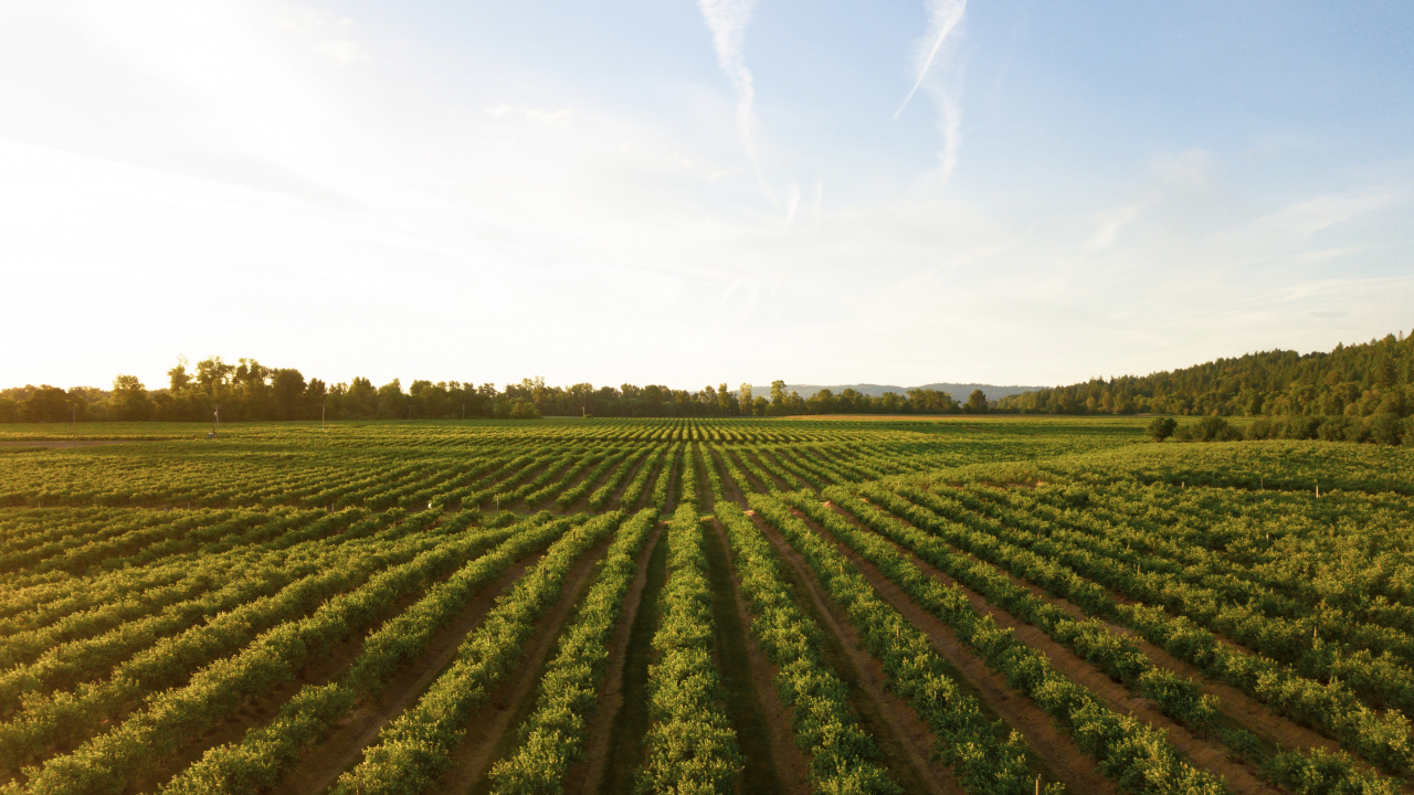 Arable, 40 milioane USD pentru extinderea soluțiilor digitale agricole