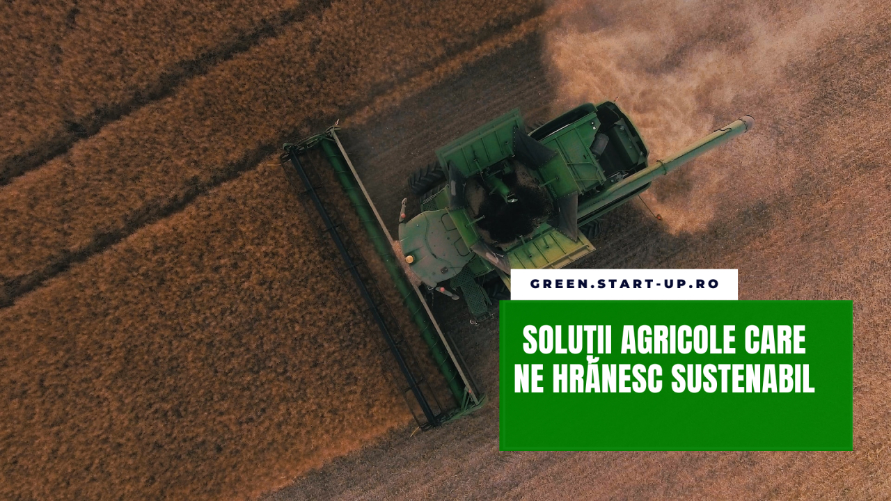 Trei soluții agricole care ne pun pe masă alimente sănătoase și sustenabile