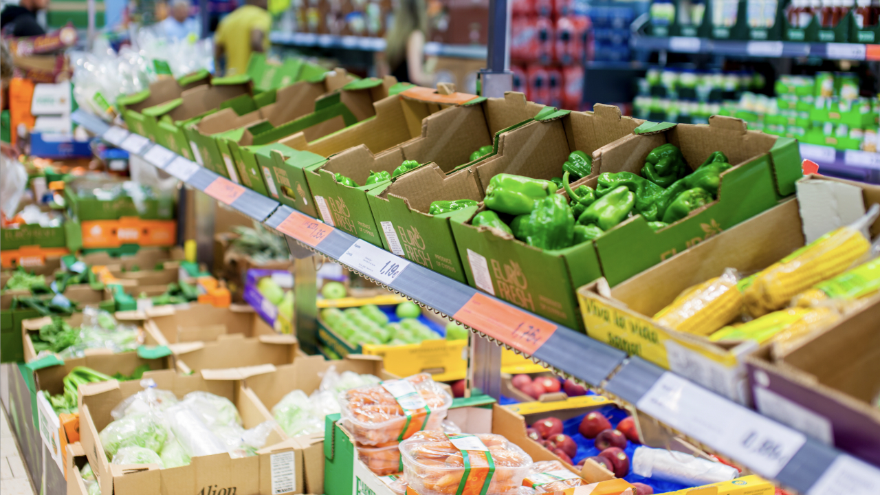 Fapte pentru viitor - reducerea risipei alimentare în redacția Green Start-Up
