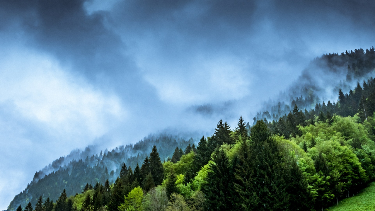 Climate VC, fond de investiții care ajută startup-uri cu soluții pentru net zero