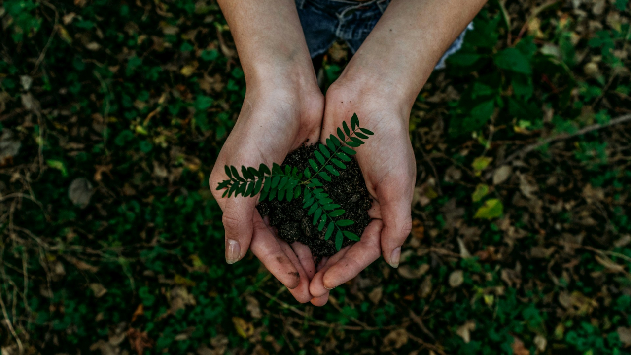 The „pollinator” of future climate startups looks to raise 150 million USD