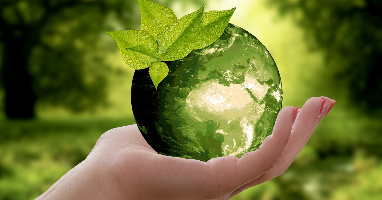 Sustainability. What it is and why we have to become sustainable