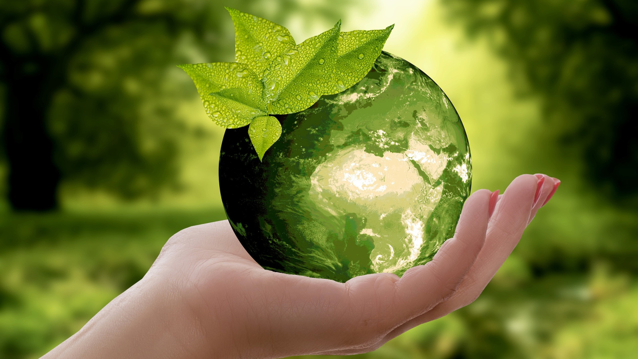 Sustainability. What it is and why we have to become sustainable