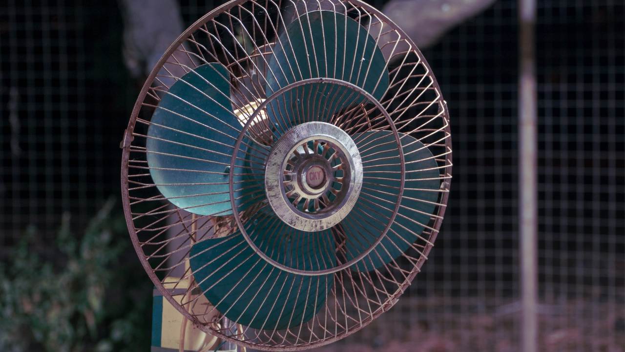 2022, anul temperaturilor record în Europa ca urmare a schimbărilor climatice