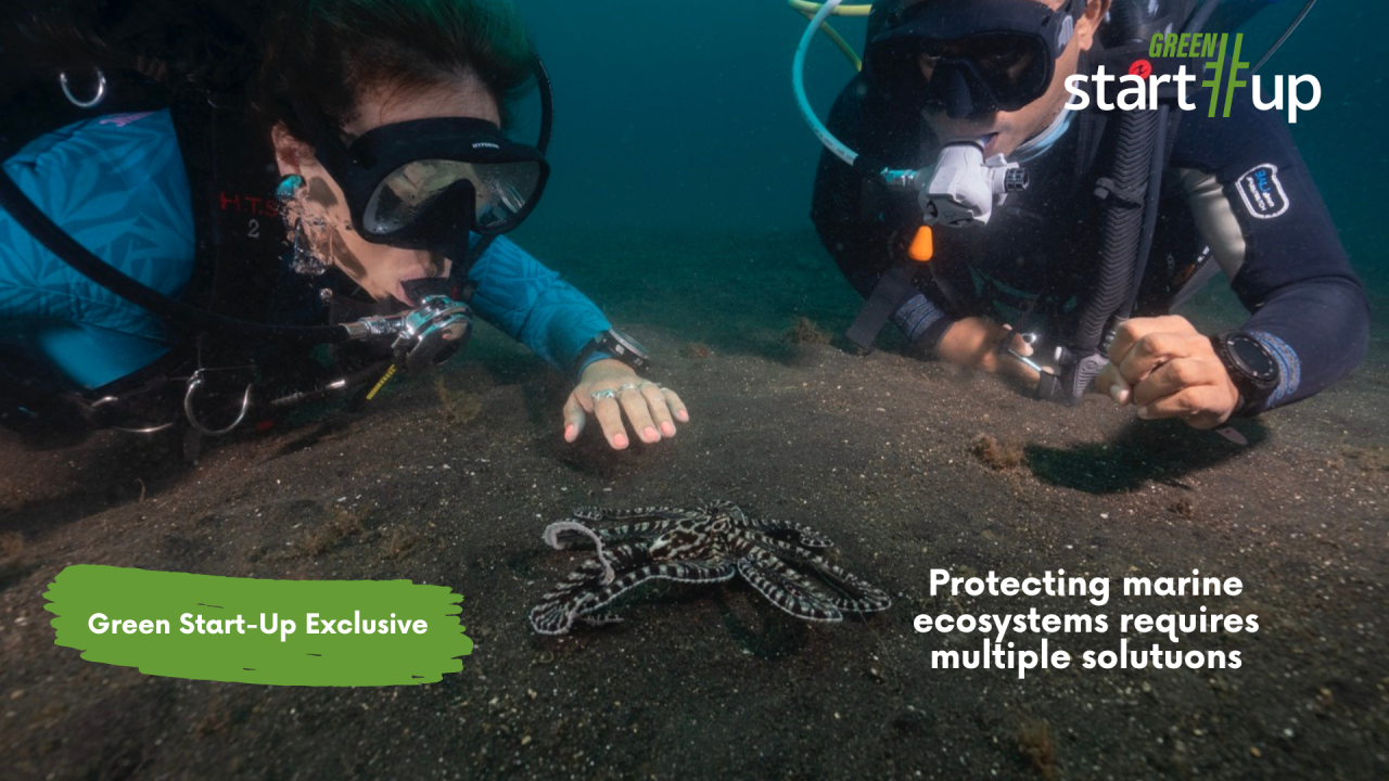 Alex Schnell, Nat Geo: "There's no single issue to losing our marine ecosystems"