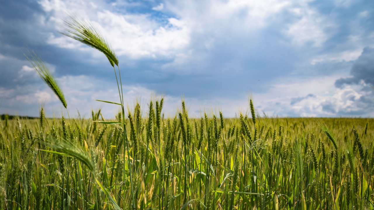 Regenerative agriculture, more important in the context of climate change