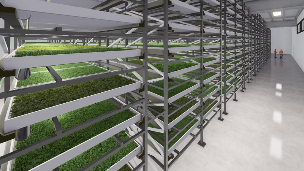 Producătorul de microplante Microgreens va deschide o seră verticală