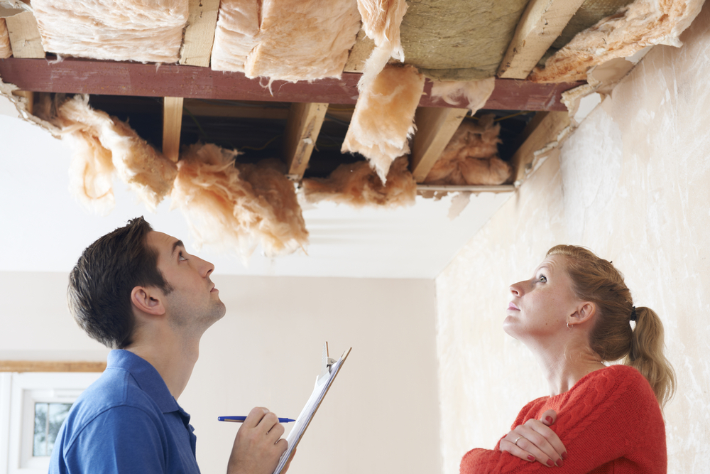 What to look out for when buying your next home from a climate risk perspective