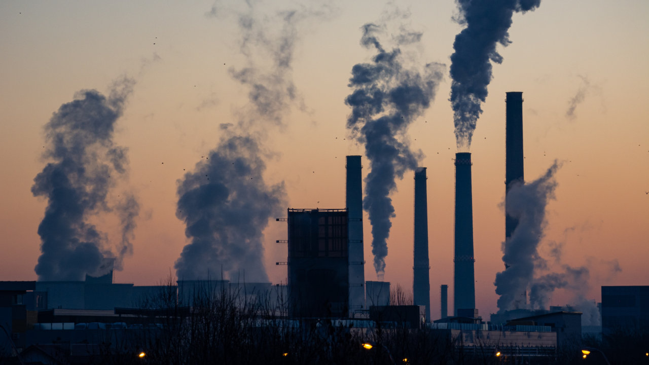 Pollution: types of pollution and how pollutants affect our health