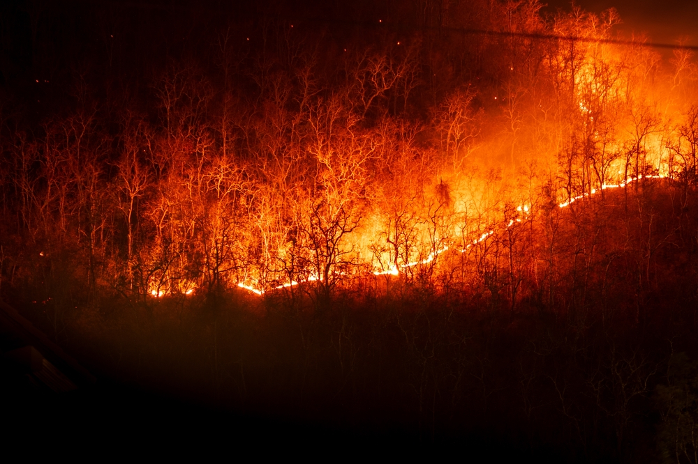 Criza climatică și incendiile de vegetație: cum afectează fulgerele comunitățile