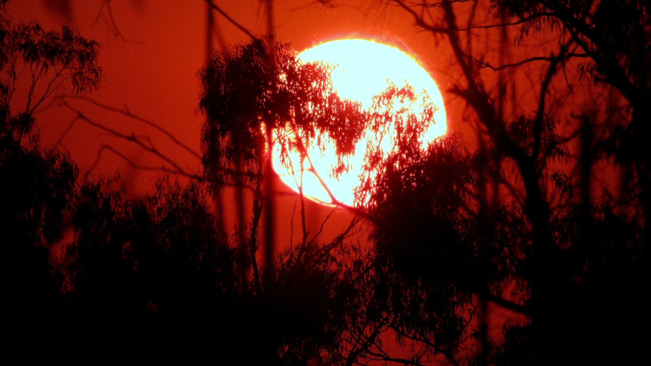 Researchers can say "with near certainty" that 2023 will be the hottest year