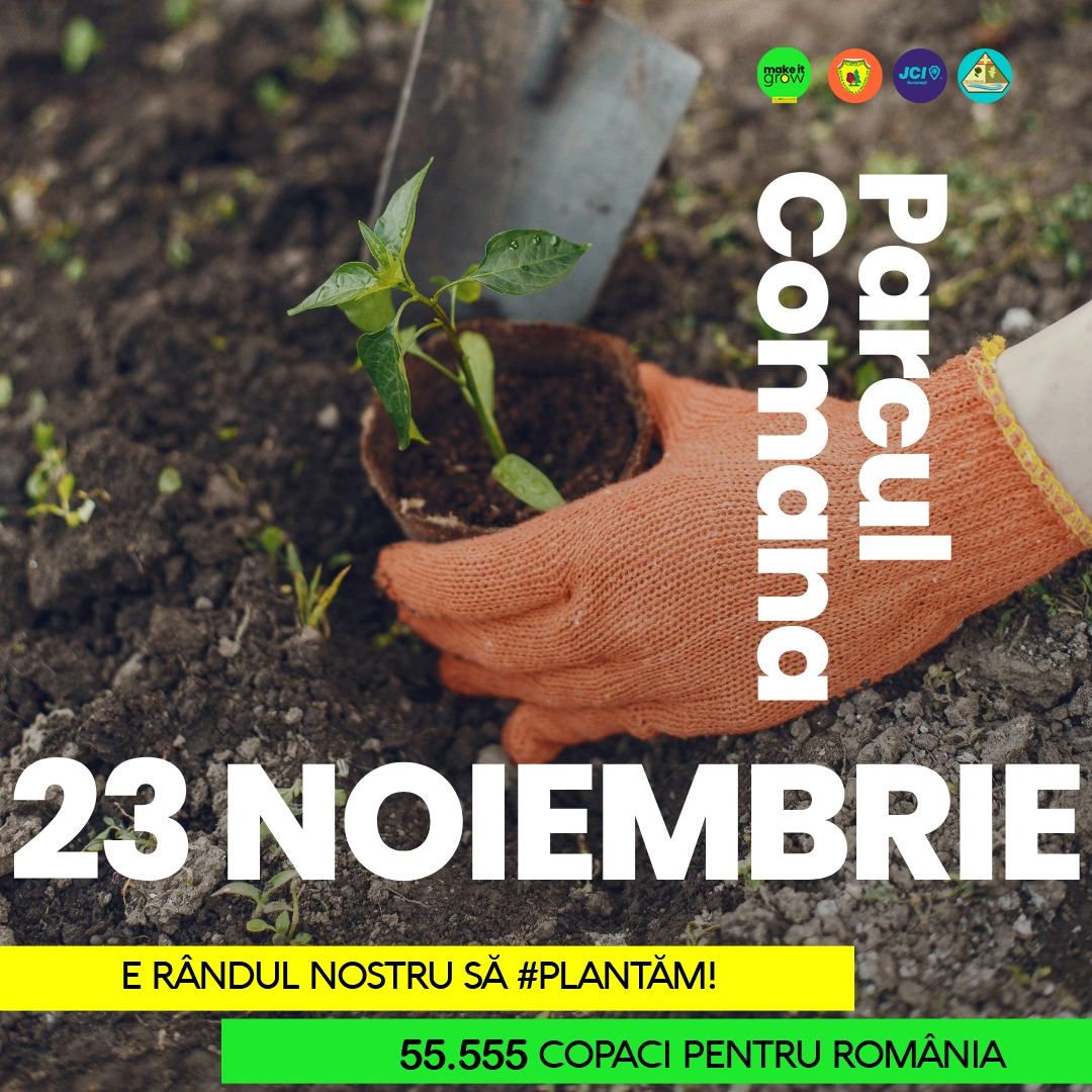 Plantează aer pentru România: ajută la plantarea a 5.000 de puieți pe 23 noiembrie