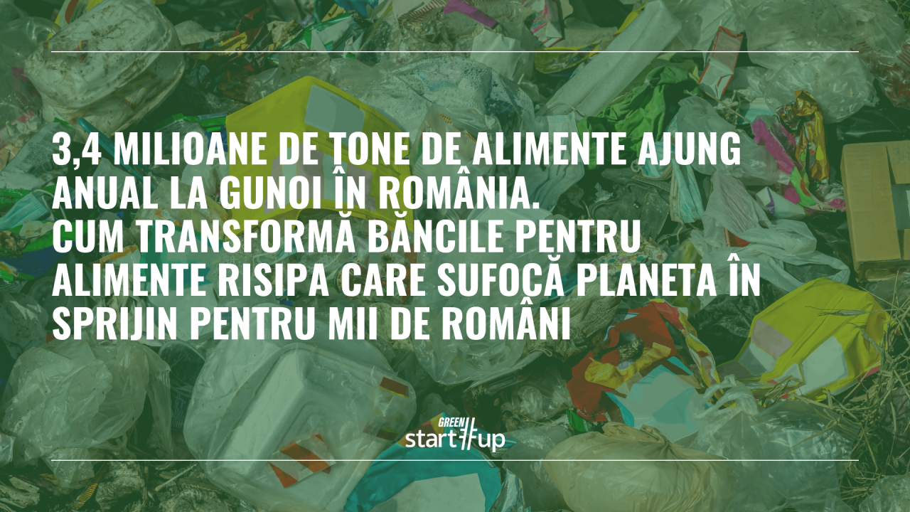 3,4 milioane de tone de alimente ajung anual la gunoi în România. Băncile pentru Alimente: Risipa alimentează și criza climatică