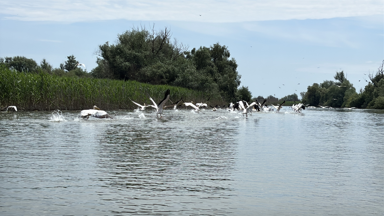 Cum contribuie 5G-ul la protejarea naturii și a comunităților din Delta Dunării
