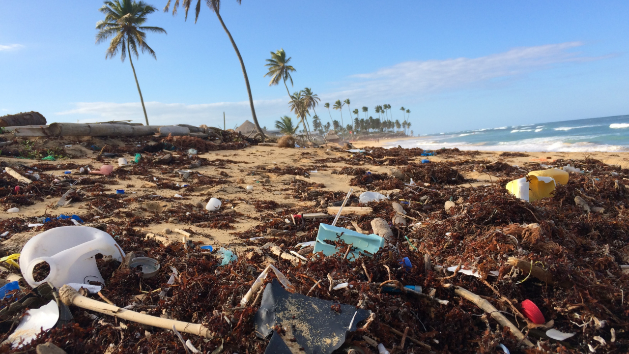 California impune noi măsuri pentru combaterea poluării cu plastic