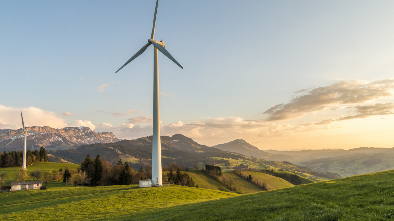 Cum pot fi transformate în alimente elicele reciclabile pentru turbine eoliene