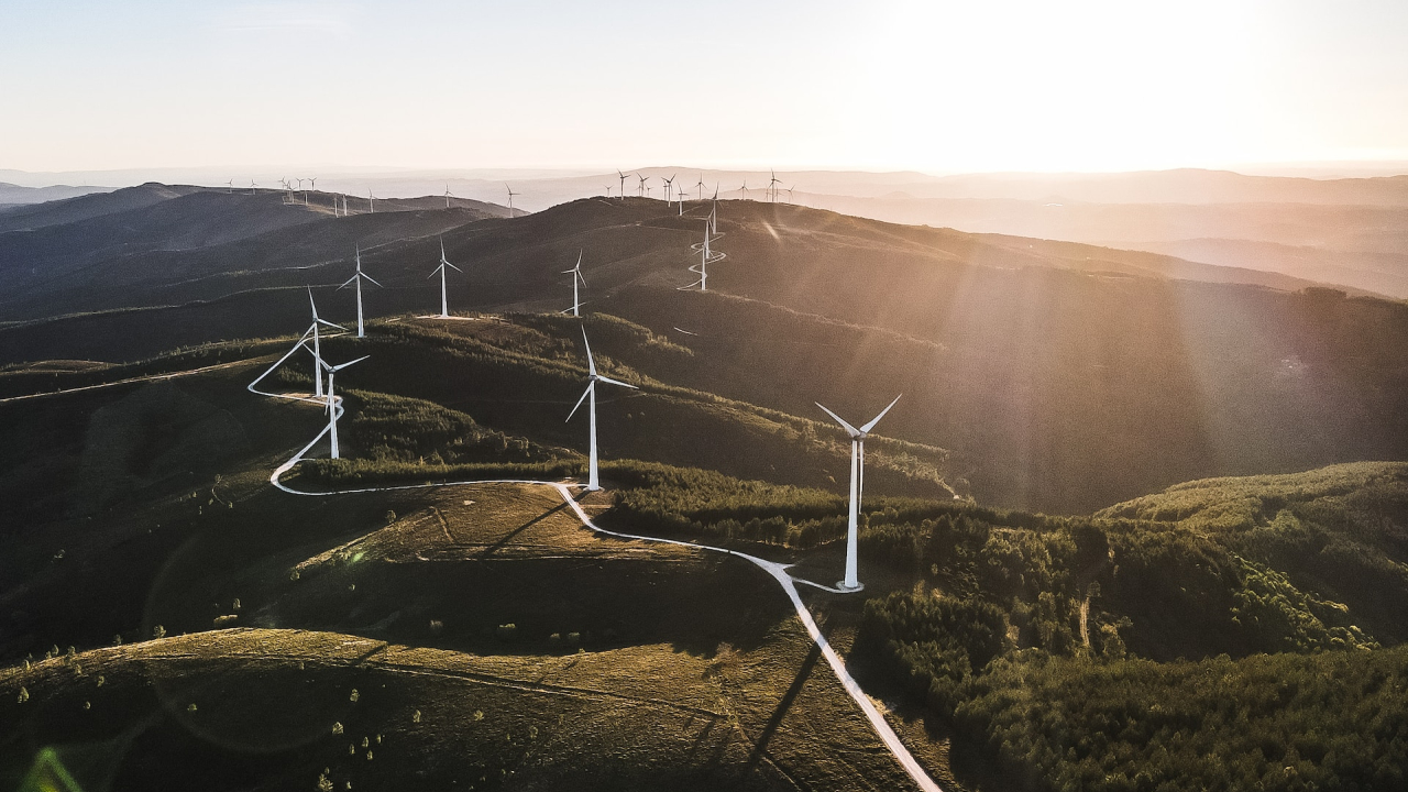 Țara din UE care pariază pe energie eoliană pentru decarbonizare