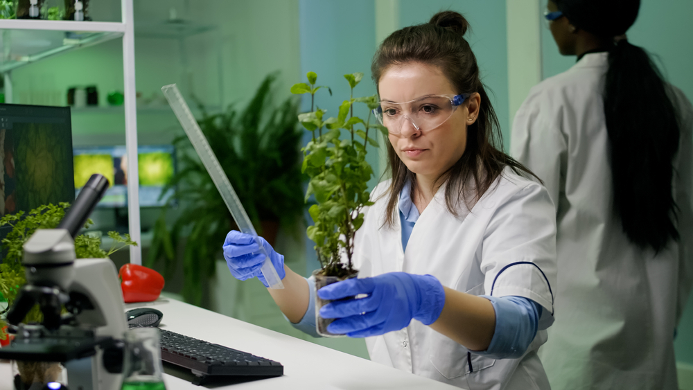 Cum se poate folosi inteligența artificială pentru a identifica și conserva specii rare de plante