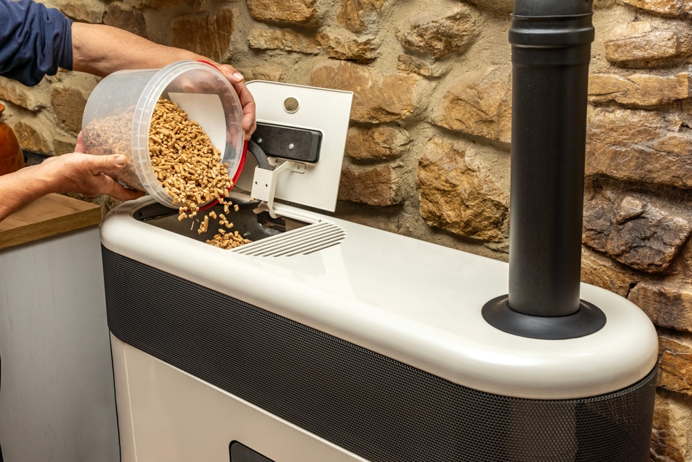 Biomass can produce green power where renewables are lacking, Google says
