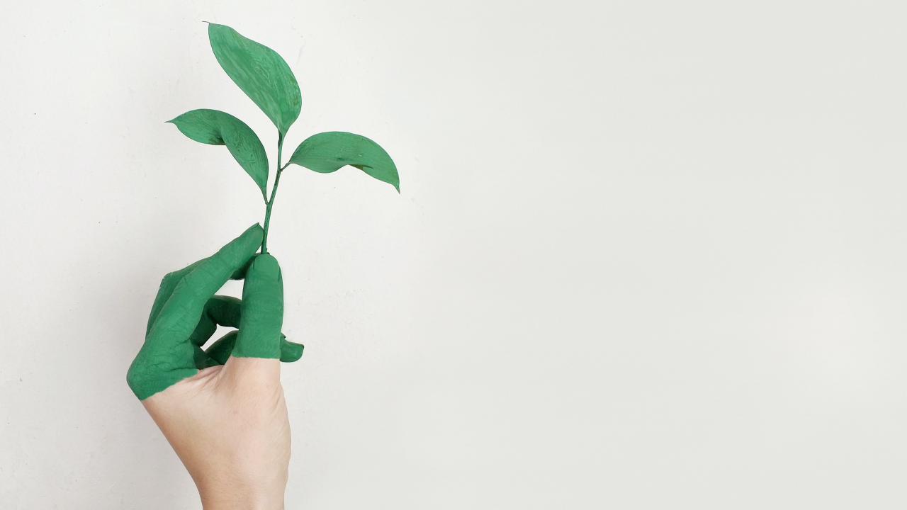 Four sustainable startups to check out for a greener lifestyle