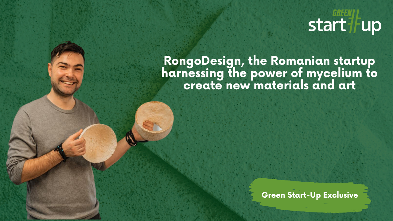 RongoDesign, the startup harnessing the power of mycelium for new materials